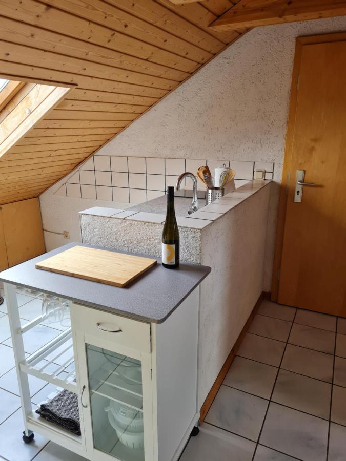 Chagall - Helles Und Gemuetliches Appartement Nahe Der Historischen Altstadt Moguncja Zewnętrze zdjęcie